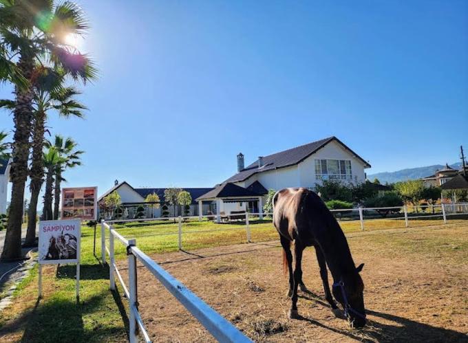 Serbesler Botanik, No 1 Comfortable Villa Sakarya  Bagian luar foto