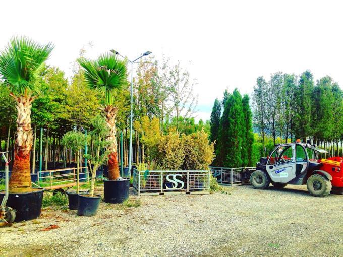 Serbesler Botanik, No 1 Comfortable Villa Sakarya  Bagian luar foto
